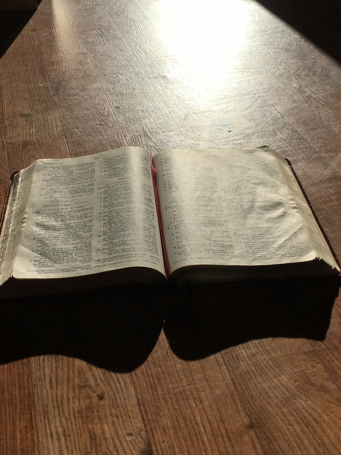 DB9FFEB4-E640-4F7E-931E-FE8220C9339C