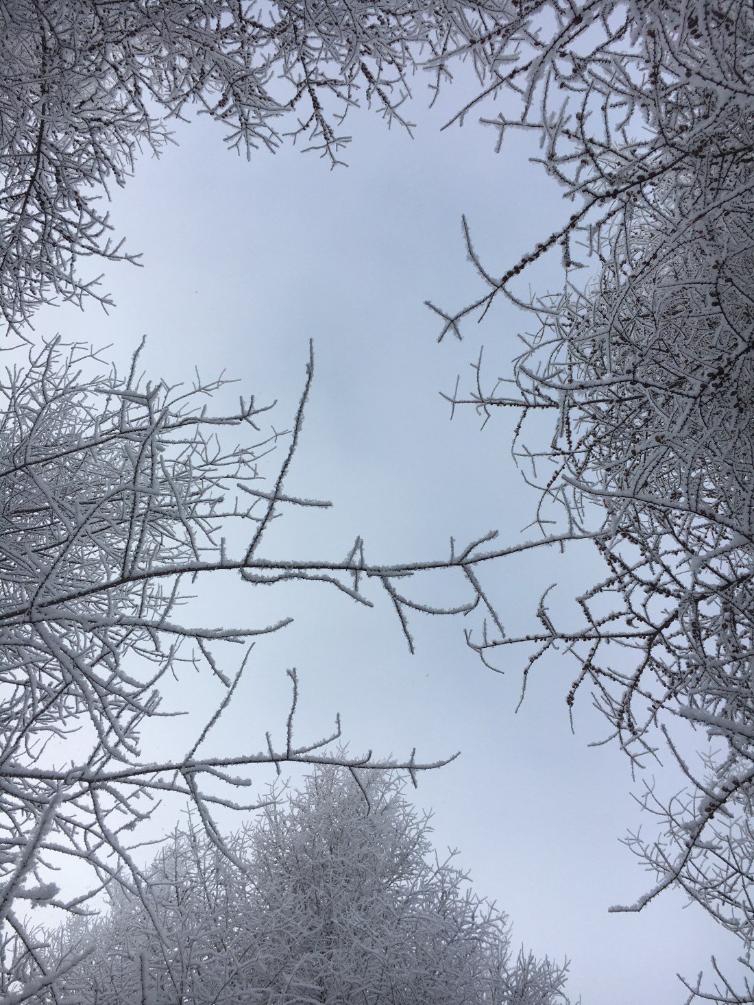 BE9328CE-72E9-48EE-B911-09E7C4F89D00